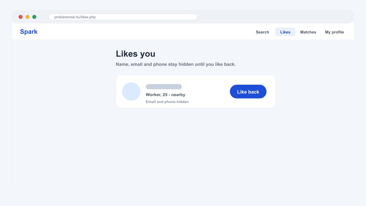 Desktop screenshot of the Spark Likes page with blurred user details
